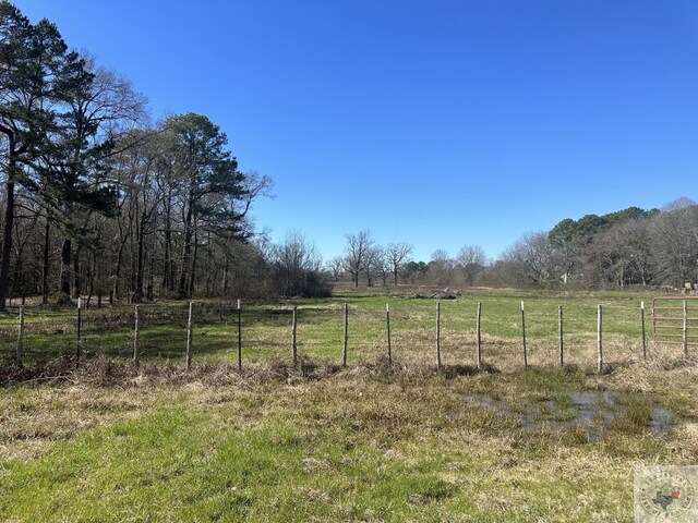 view of yard with a rural view