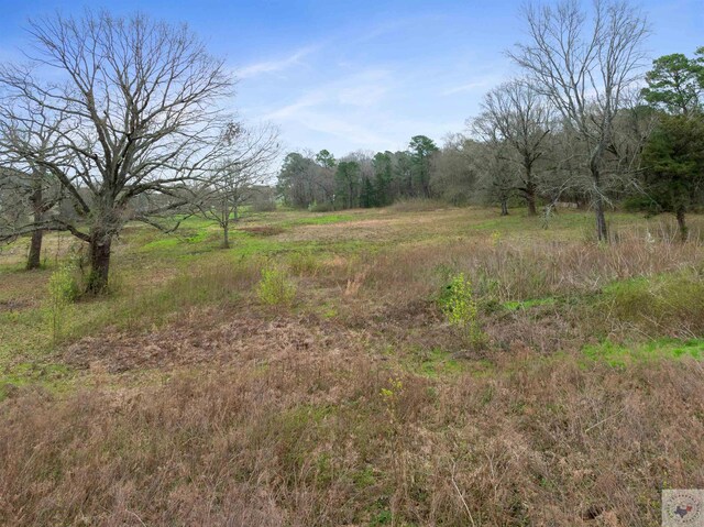 view of landscape featuring a rural view