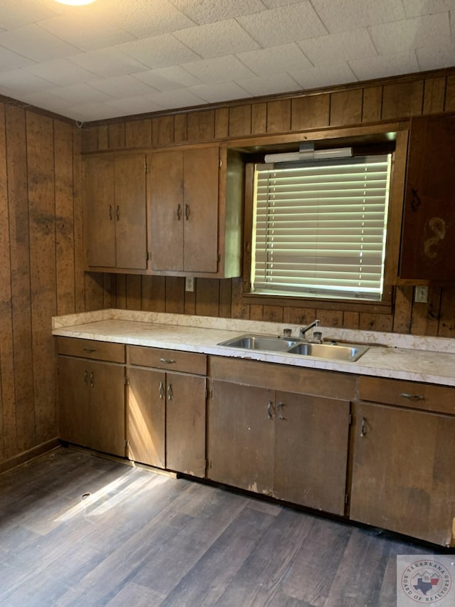 kitchen with sink, wooden walls, and dark hardwood / wood-style flooring