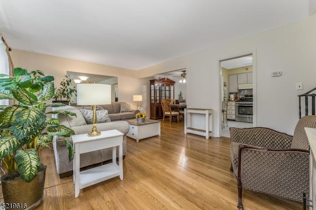 740 Mountain Ave, Bridgewater Twp, NJ 08805 - living room with light wood-type flooring and ceiling fan