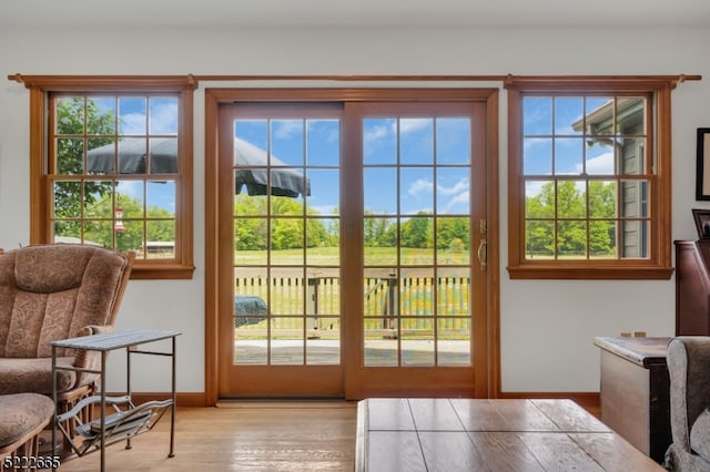 doorway with light hardwood / wood-style floors