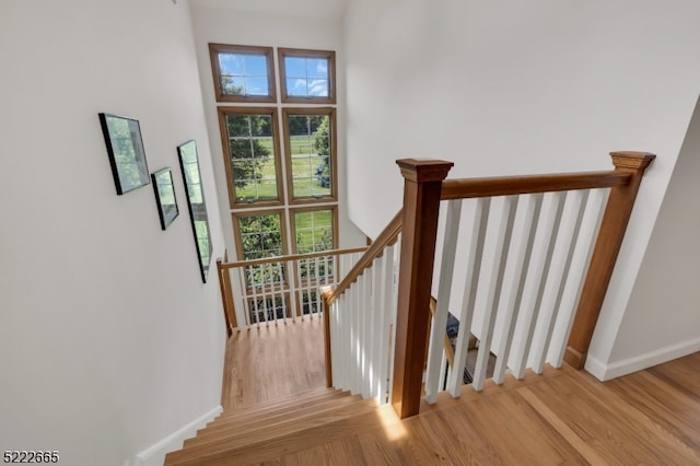 staircase featuring light wood-type flooring