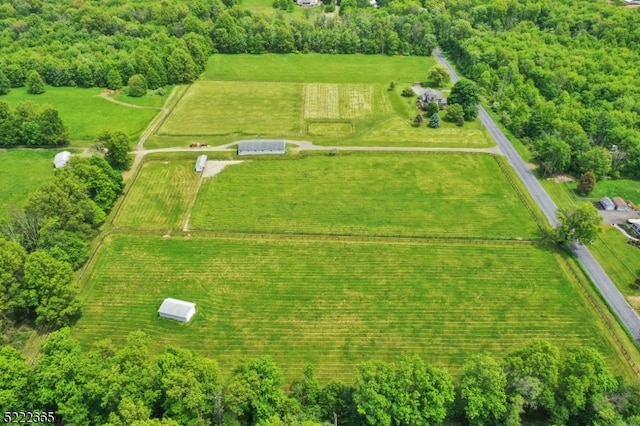 view of bird's eye view