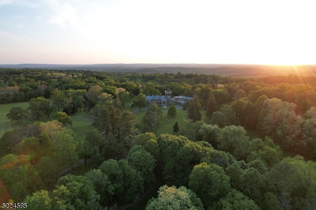 view of aerial view at dusk