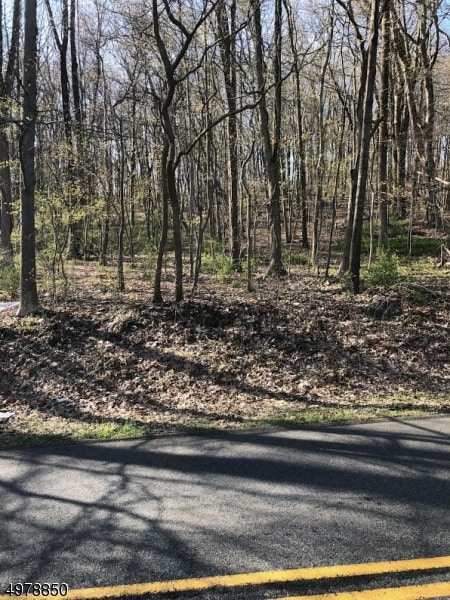 39 Russling Rd, Independence Twp NJ, 07840 land for sale