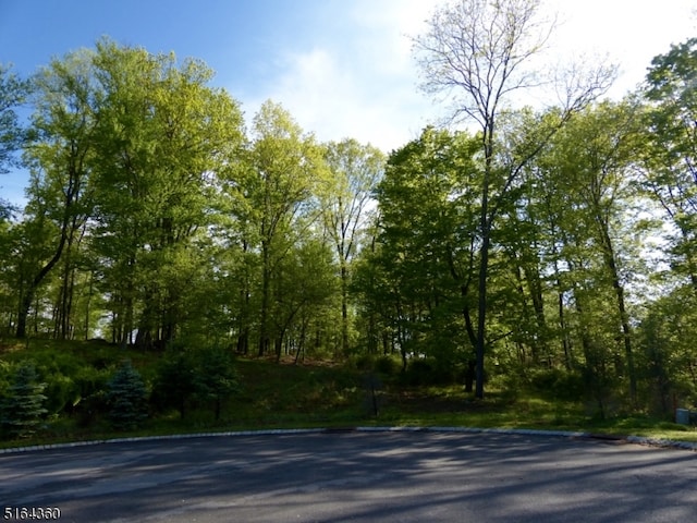 Listing photo 2 for 8 Preserve Ln, Bernardsville Boro NJ 07924