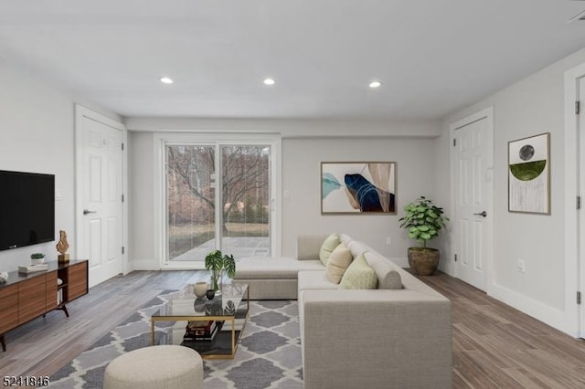 living room featuring wood-type flooring