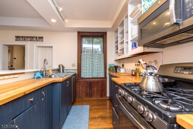 kitchen with rail lighting, appliances with stainless steel finishes, dark hardwood / wood-style flooring, a raised ceiling, and sink