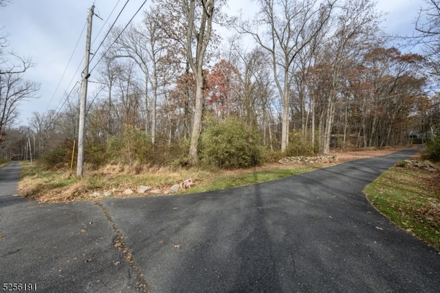 4 Country Ln, Lebanon Twp NJ, 08826 land for sale