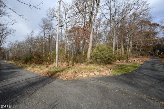 Listing photo 2 for 4 Country Ln, Lebanon Twp NJ 08826