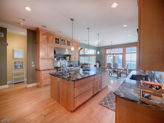 201 Lows Hollow Rd, Lopatcong Twp, NJ 08886 - kitchen featuring a sink, under cabinet range hood, light brown cabinets, and glass insert cabinets