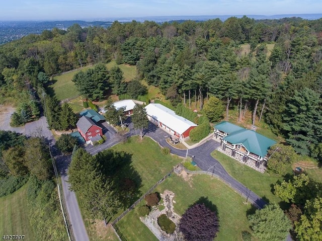 201 Lows Hollow Rd, Lopatcong Twp, NJ 08886 - birds eye view of property featuring a view of trees