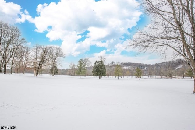 view of yard covered in snow