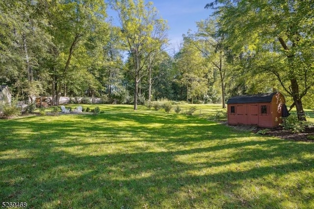 view of yard featuring an outdoor structure, fence, and a storage unit