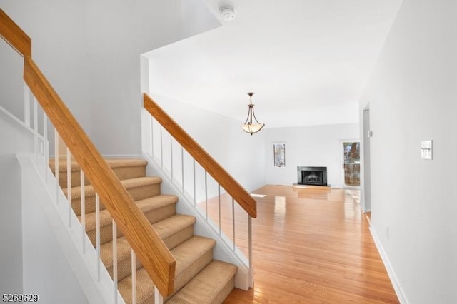 stairs featuring hardwood / wood-style flooring