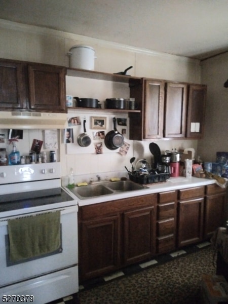 kitchen featuring white electric range, extractor fan, dark brown cabinets, and sink