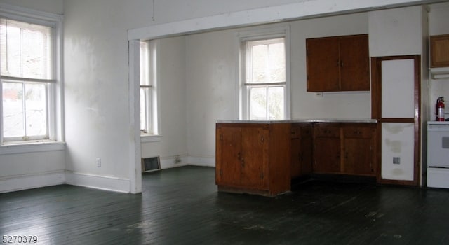 kitchen featuring range, plenty of natural light, and dark wood-type flooring