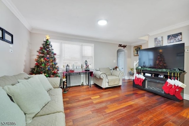 living room featuring crown molding, radiator heating unit, and hardwood / wood-style flooring