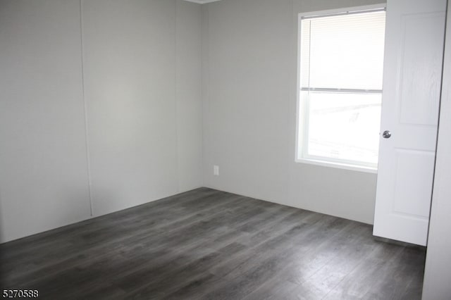 spare room with dark wood-type flooring