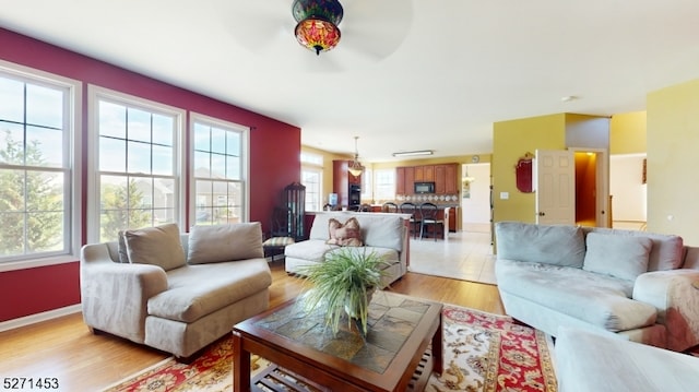 living room with ceiling fan and light wood-type flooring