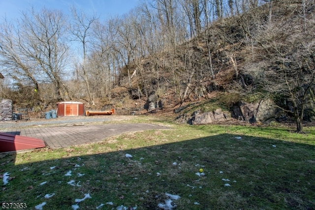 view of yard with a shed