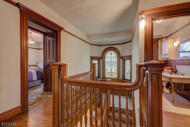 corridor with light hardwood / wood-style floors and a wealth of natural light