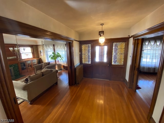 foyer featuring dark hardwood / wood-style flooring