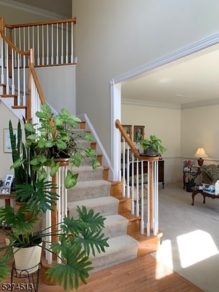 stairs with ornamental molding and hardwood / wood-style flooring