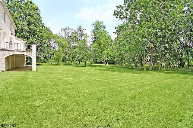 view of yard featuring a balcony