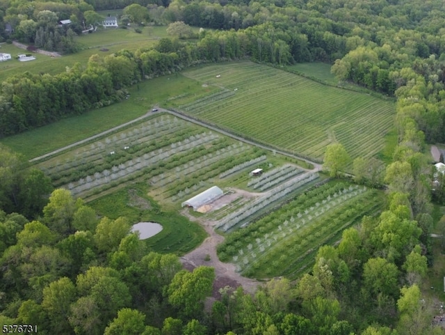 birds eye view of property featuring a rural view