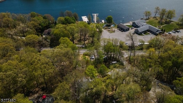 4 Amicalola Dr, Vernon Twp, NJ 07422 - birds eye view of property featuring a forest view