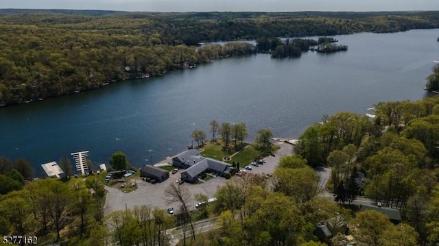4 Amicalola Dr, Vernon Twp, NJ 07422 - birds eye view of property featuring a wooded view and a water view
