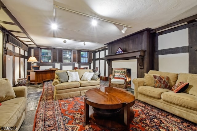 living room with rail lighting