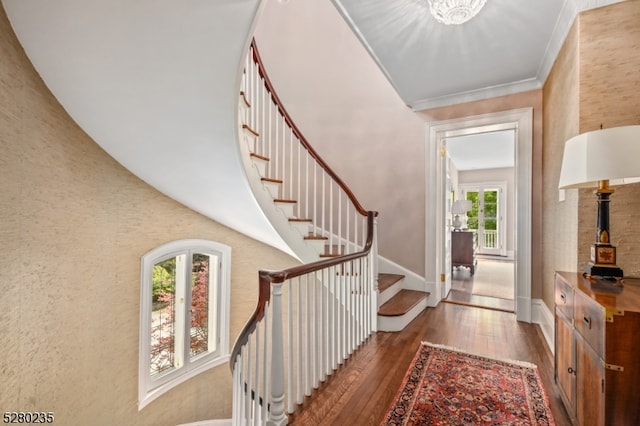 interior space with ornamental molding and dark wood-type flooring