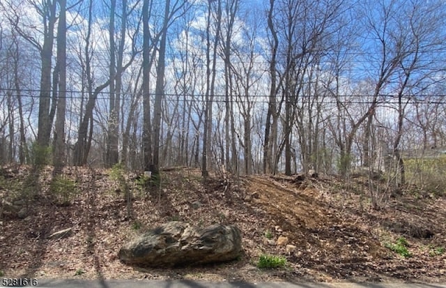 59 W Shawnee Trl, Jefferson Twp NJ, 07885 land for sale