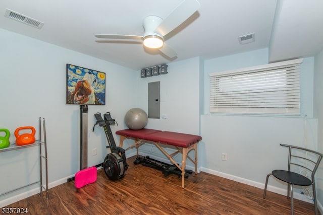 office with electric panel, ceiling fan, and dark hardwood / wood-style flooring