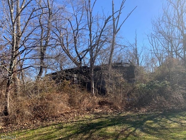 view of local wilderness