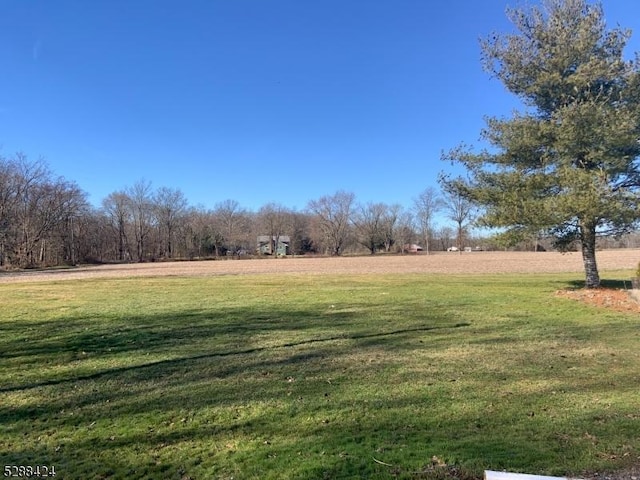 view of yard featuring a rural view