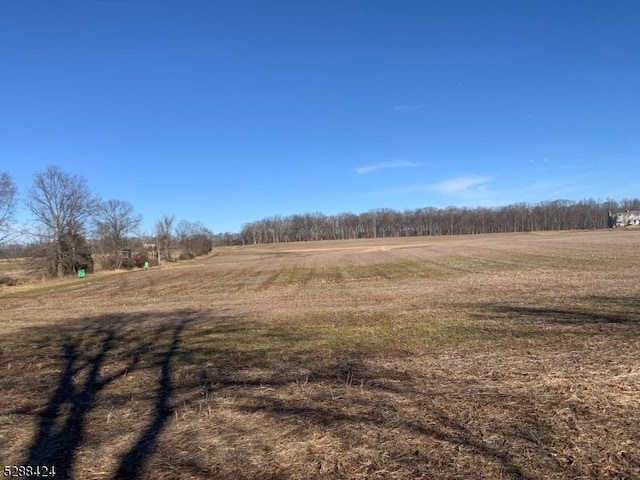 view of yard featuring a rural view