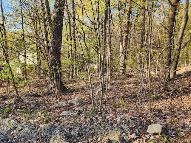 20 Karen Rd, Vernon Twp NJ, 07422 land for sale