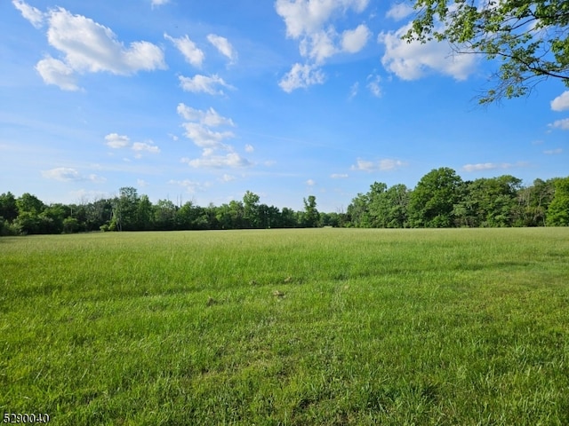 view of nature featuring a rural view