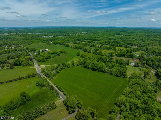 drone / aerial view featuring a rural view