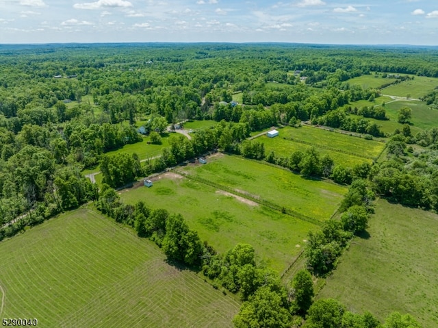 birds eye view of property featuring a rural view