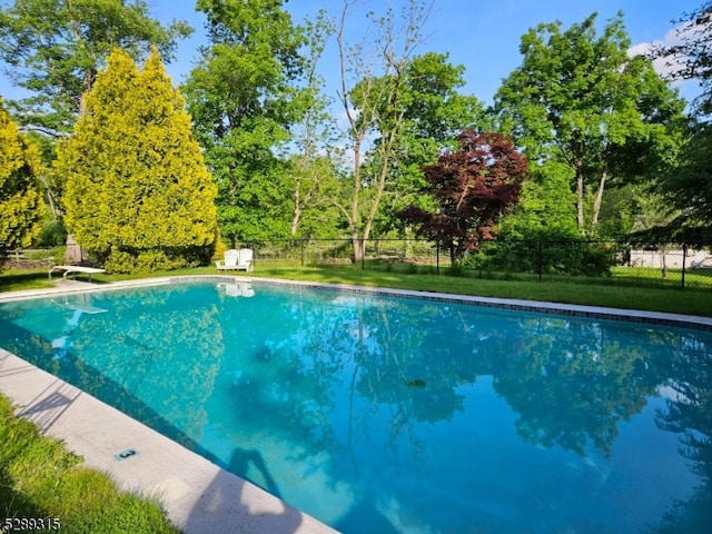 view of swimming pool with a diving board