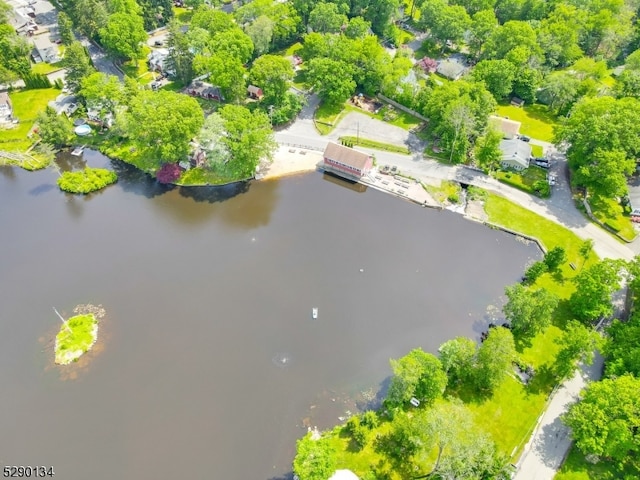 view of bird's eye view