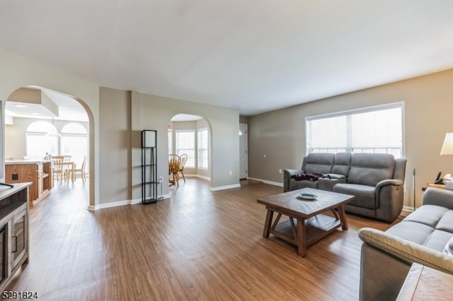 living room with hardwood / wood-style flooring