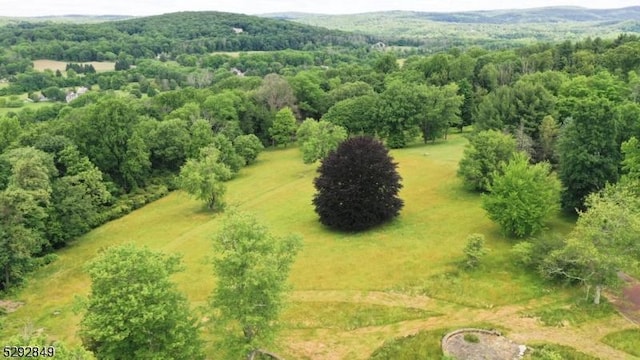 11 Wright Ln, Mendham Twp NJ, 07931 land for sale