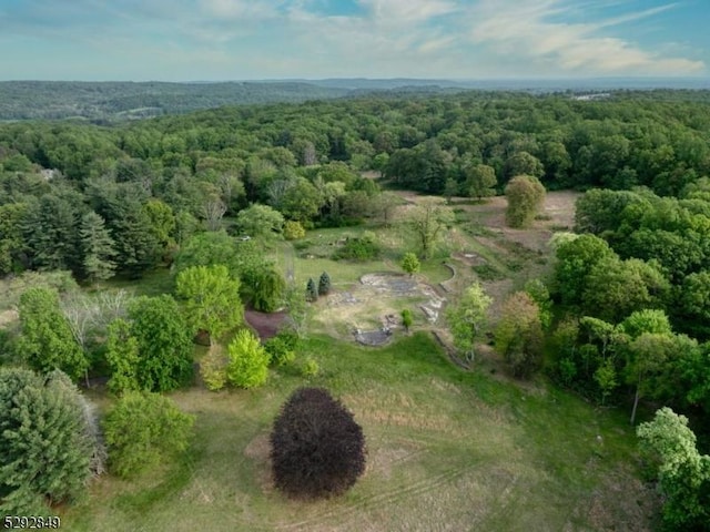 11 Wright Ln, Mendham Twp, NJ 07931