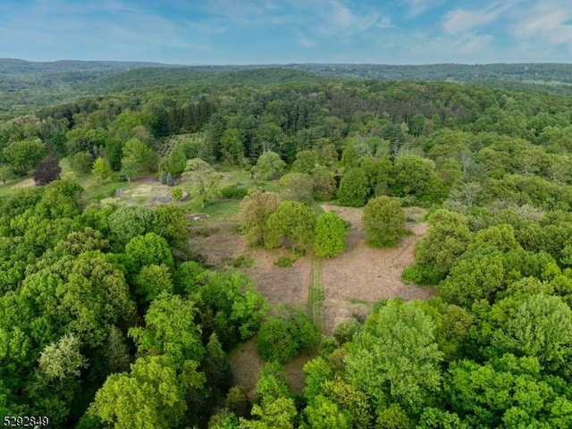 11 Wright Ln, Mendham Twp, NJ 07931