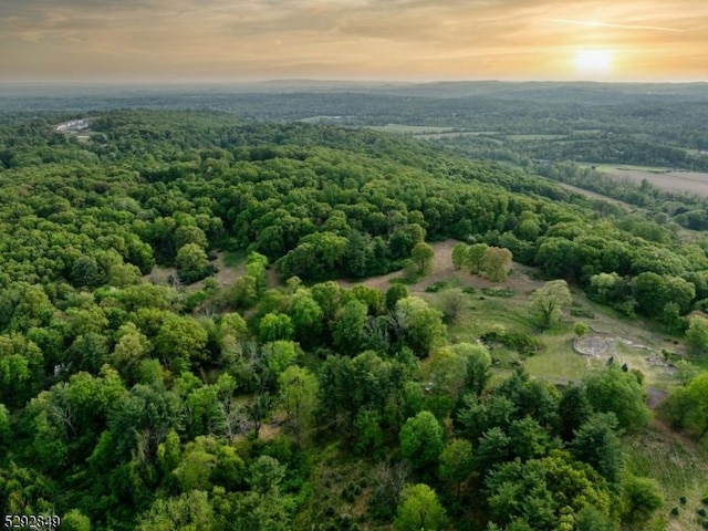 11 Wright Ln, Mendham Twp, NJ 07931
